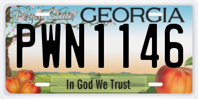 GA license plate PWN1146