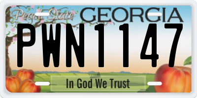 GA license plate PWN1147