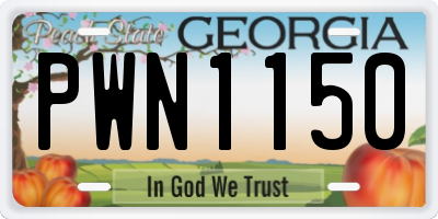 GA license plate PWN1150