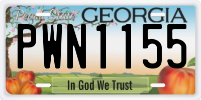 GA license plate PWN1155