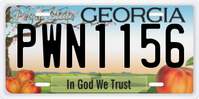 GA license plate PWN1156