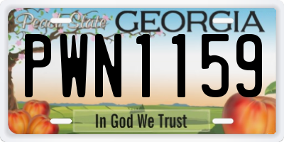 GA license plate PWN1159