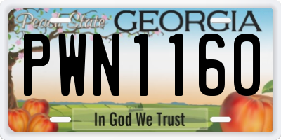 GA license plate PWN1160