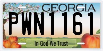 GA license plate PWN1161