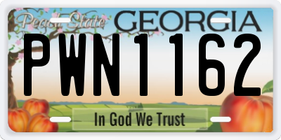GA license plate PWN1162