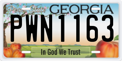 GA license plate PWN1163
