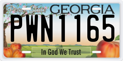 GA license plate PWN1165