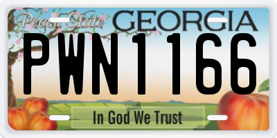 GA license plate PWN1166