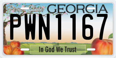 GA license plate PWN1167