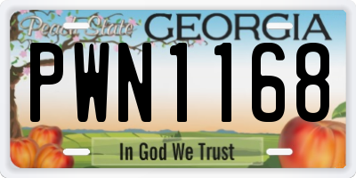 GA license plate PWN1168