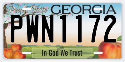 GA license plate PWN1172