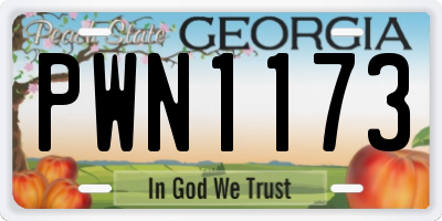GA license plate PWN1173