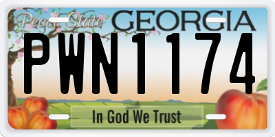 GA license plate PWN1174