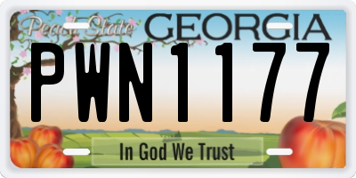 GA license plate PWN1177