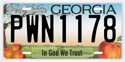 GA license plate PWN1178