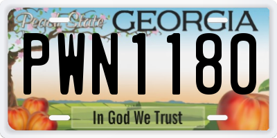 GA license plate PWN1180