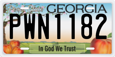 GA license plate PWN1182