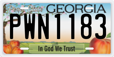 GA license plate PWN1183