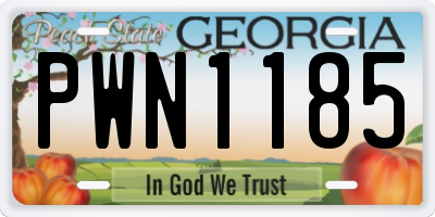 GA license plate PWN1185