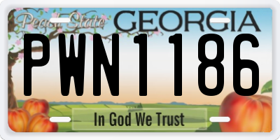 GA license plate PWN1186