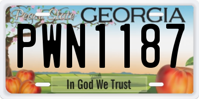 GA license plate PWN1187