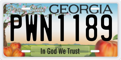 GA license plate PWN1189