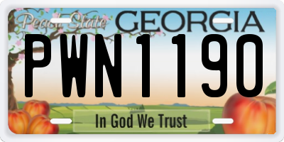 GA license plate PWN1190