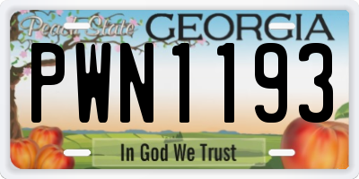 GA license plate PWN1193