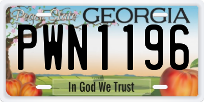 GA license plate PWN1196