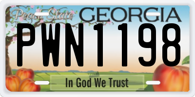 GA license plate PWN1198