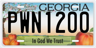 GA license plate PWN1200