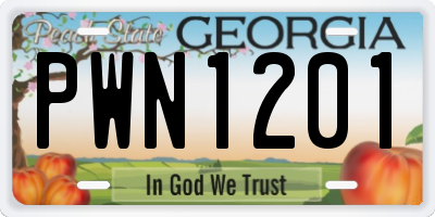 GA license plate PWN1201