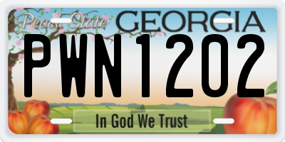 GA license plate PWN1202