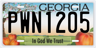 GA license plate PWN1205