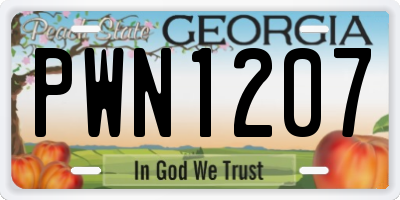 GA license plate PWN1207
