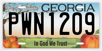 GA license plate PWN1209