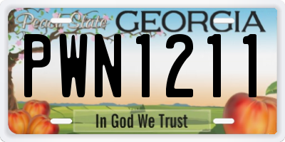 GA license plate PWN1211