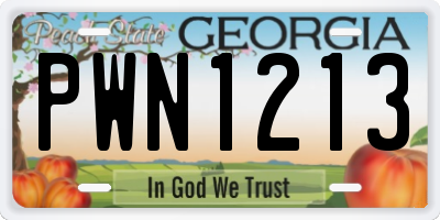 GA license plate PWN1213
