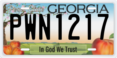 GA license plate PWN1217