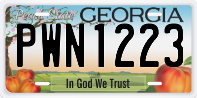 GA license plate PWN1223