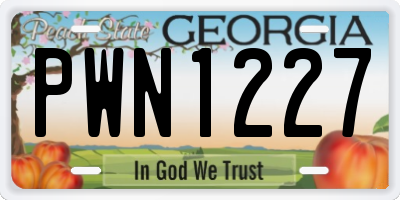GA license plate PWN1227