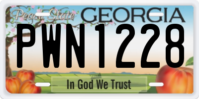 GA license plate PWN1228