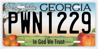 GA license plate PWN1229