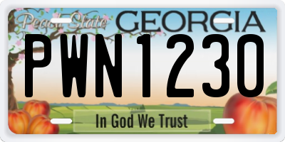 GA license plate PWN1230