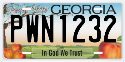 GA license plate PWN1232