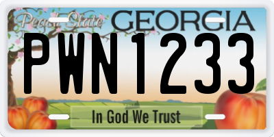 GA license plate PWN1233