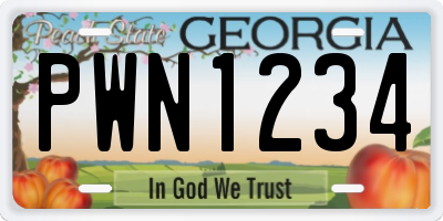 GA license plate PWN1234