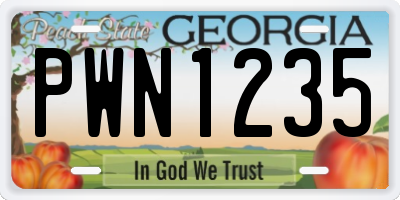 GA license plate PWN1235