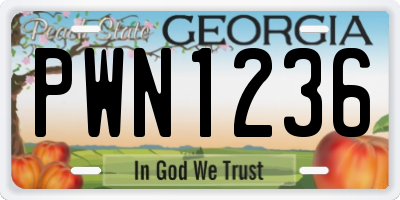 GA license plate PWN1236