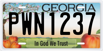 GA license plate PWN1237